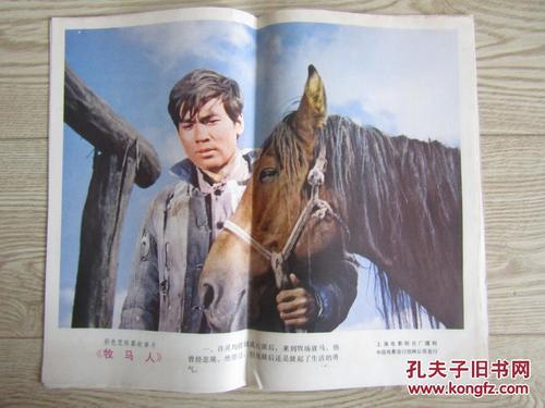 新布朗斯维克大学电子工程学位证书